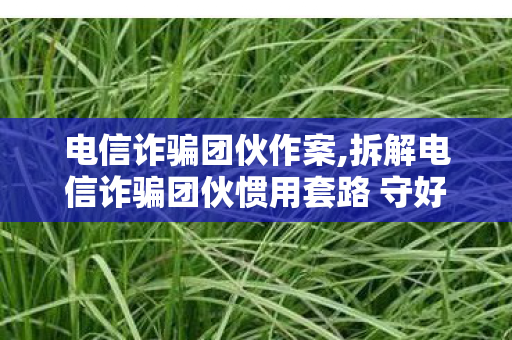 电信诈骗团伙作案,拆解电信诈骗团伙惯用套路 守好日常财产安全防线 电信诈骗团伙作案,拆解电信诈骗团伙惯用套路 守好日常财产安全防线