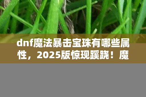 dnf魔法暴击宝珠有哪些属性,2025版惊现蹊跷!魔法暴击宝珠竟藏着十年未解之谜? dnf魔法暴击宝珠有哪些属性,2025版惊现蹊跷!魔法暴击宝珠竟藏着十年未解之谜?