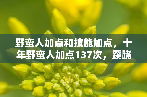 野蛮人加点和技能加点,十年野蛮人加点137次,蹊跷数据背后,后背发凉的真相 野蛮人加点和技能加点,十年野蛮人加点137次,蹊跷数据背后,后背发凉的真相