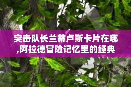 突击队长兰蒂卢斯卡片在哪,阿拉德冒险记忆里的经典藏品,突击队长兰蒂卢斯卡片 突击队长兰蒂卢斯卡片在哪,阿拉德冒险记忆里的经典藏品,突击队长兰蒂卢斯卡片