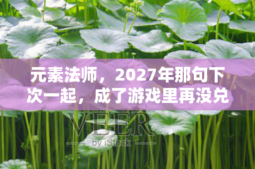 元素法师,2027年那句下次一起,成了游戏里再没兑现的伏笔,鼻子一酸 元素法师,2027年那句下次一起,成了游戏里再没兑现的伏笔,鼻子一酸