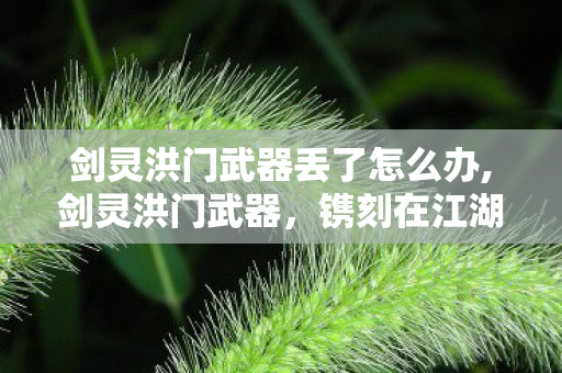 剑灵洪门武器丢了怎么办,剑灵洪门武器,镌刻在江湖初心上的青春印记 剑灵洪门武器丢了怎么办,剑灵洪门武器,镌刻在江湖初心上的青春印记