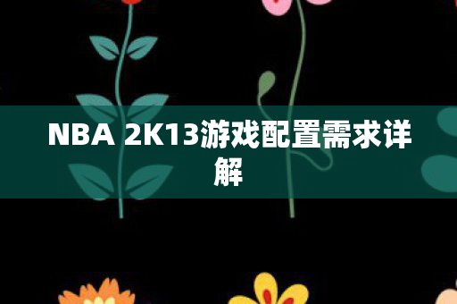 NBA 2K13游戏配置需求详解图片