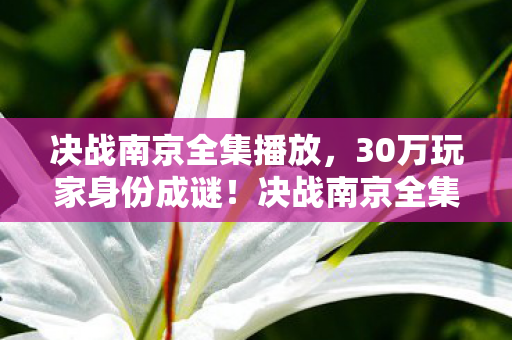 决战南京全集播放，30万玩家身份成谜！决战南京全集背后藏着多少心酸故事？