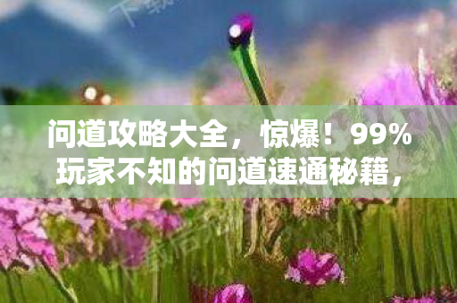 问道攻略大全,惊爆!99%玩家不知的问道速通秘籍,你离巅峰只差这一步? 问道攻略大全,惊爆!99%玩家不知的问道速通秘籍,你离巅峰只差这一步?