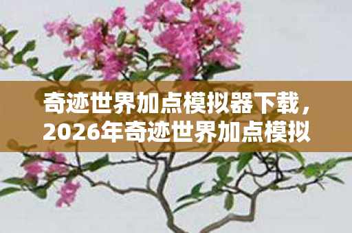 奇迹世界加点模拟器下载，2026年奇迹世界加点模拟器大揭秘！99%玩家不知的隐藏数值