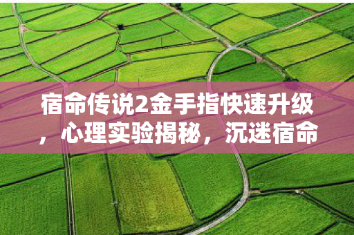 宿命传说2金手指快速升级，心理实验揭秘，沉迷宿命传说2金手指竟是多巴胺的细思极恐陷阱
