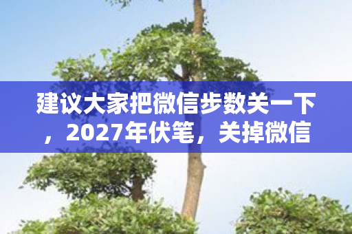 建议大家把微信步数关一下,2027年伏笔,关掉微信步数那刻,鼻子一酸想起游戏里的别走 建议大家把微信步数关一下,2027年伏笔,关掉微信步数那刻,鼻子一酸想起游戏里的别走