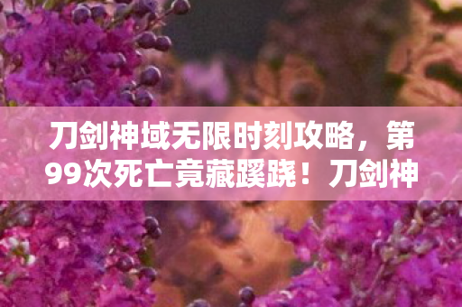 刀剑神域无限时刻攻略,第99次死亡竟藏蹊跷!刀剑神域无限时刻,真相让人后背发凉 刀剑神域无限时刻攻略,第99次死亡竟藏蹊跷!刀剑神域无限时刻,真相让人后背发凉
