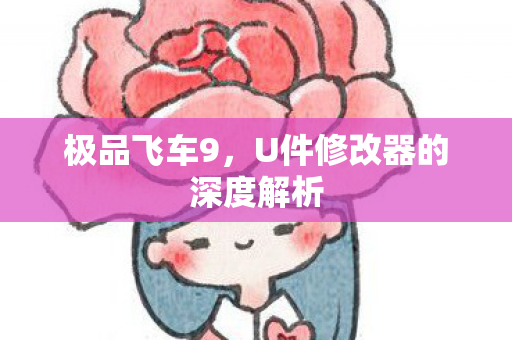 U件修改器的深度解析图片
