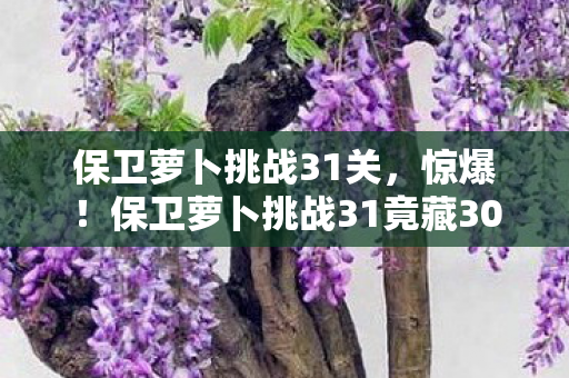 保卫萝卜挑战31关，惊爆！保卫萝卜挑战31竟藏300万隐情，结果让人吓一跳！
