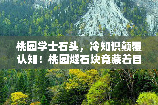 桃园学士石头,冷知识颠覆认知!桃园燧石块竟藏着目瞪口呆的远古密码 桃园学士石头,冷知识颠覆认知!桃园燧石块竟藏着目瞪口呆的远古密码