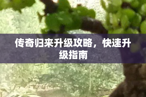 传奇归来升级攻略图片