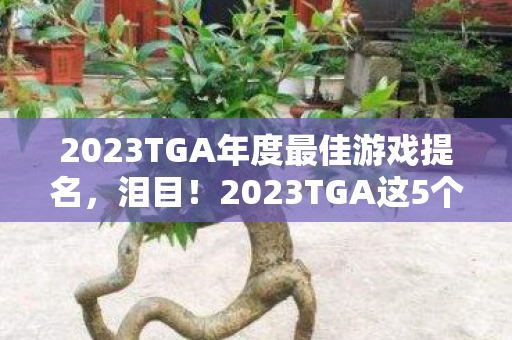 2023TGA年度最佳游戏提名,泪目!2023TGA这5个瞬间让我通宵回味,游戏人的终极浪漫 2023TGA年度最佳游戏提名,泪目!2023TGA这5个瞬间让我通宵回味,游戏人的终极浪漫