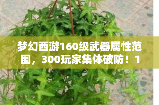 梦幻西游160级武器属性范围,300玩家集体破防!160级武器特效竟是网吧监控?老炮,我当年……绷不住了! 梦幻西游160级武器属性范围,300玩家集体破防!160级武器特效竟是网吧监控?老炮,我当年……绷不住了!