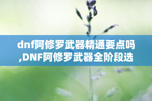 dnf阿修罗武器精通要点吗,DNF阿修罗武器全阶段选择攻略,适配不同流派的搭配思路解析 dnf阿修罗武器精通要点吗,DNF阿修罗武器全阶段选择攻略,适配不同流派的搭配思路解析