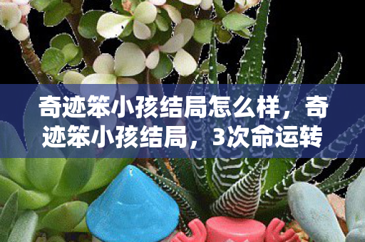 奇迹笨小孩结局怎么样,奇迹笨小孩结局,3次命运转折背后,藏着多少玩家未解的真相? 奇迹笨小孩结局怎么样,奇迹笨小孩结局,3次命运转折背后,藏着多少玩家未解的真相?