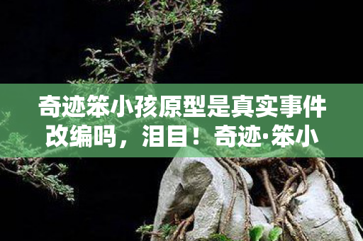 奇迹笨小孩原型是真实事件改编吗,泪目!奇迹·笨小孩原型曝光,3个逆袭瞬间让我破防了! 奇迹笨小孩原型是真实事件改编吗,泪目!奇迹·笨小孩原型曝光,3个逆袭瞬间让我破防了!