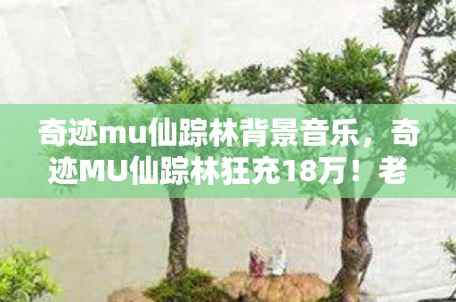 奇迹mu仙踪林背景音乐,奇迹MU仙踪林狂充18万!老婆怒签离婚协议,背后隐情吓你一跳! 奇迹mu仙踪林背景音乐,奇迹MU仙踪林狂充18万!老婆怒签离婚协议,背后隐情吓你一跳!