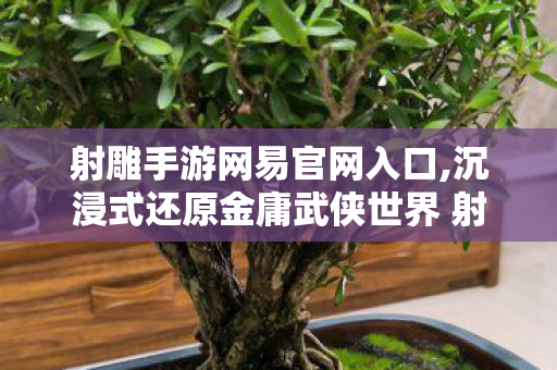 射雕手游网易官网入口,沉浸式还原金庸武侠世界 射雕手游官方正版游玩全指南
