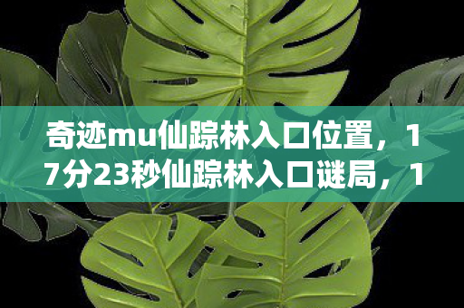 奇迹mu仙踪林入口位置,17分23秒仙踪林入口谜局,12万玩家死亡日志里藏着谁的泪目遗言 奇迹mu仙踪林入口位置,17分23秒仙踪林入口谜局,12万玩家死亡日志里藏着谁的泪目遗言