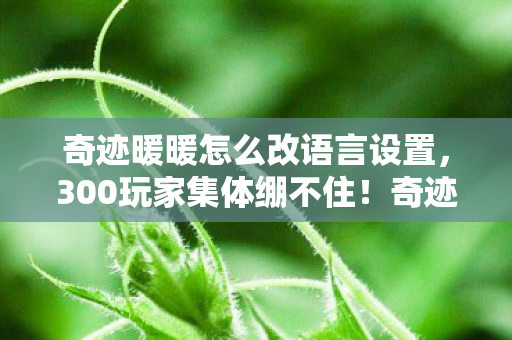 奇迹暖暖怎么改语言设置,300玩家集体绷不住!奇迹暖暖改语言竟藏惊天疑点? 奇迹暖暖怎么改语言设置,300玩家集体绷不住!奇迹暖暖改语言竟藏惊天疑点?