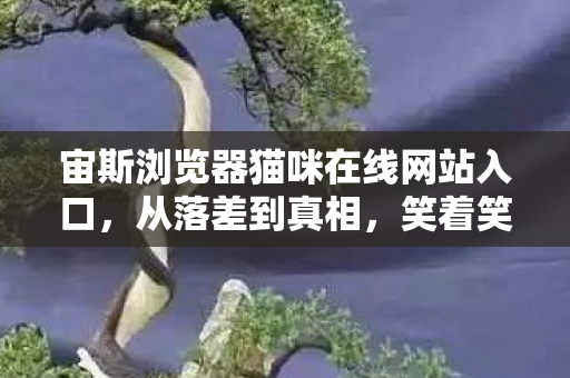 宙斯浏览器猫咪在线网站入口,从落差到真相,笑着笑着哭了,宙斯浏览器猫咪游戏竟成电子鸦片? 宙斯浏览器猫咪在线网站入口,从落差到真相,笑着笑着哭了,宙斯浏览器猫咪游戏竟成电子鸦片?