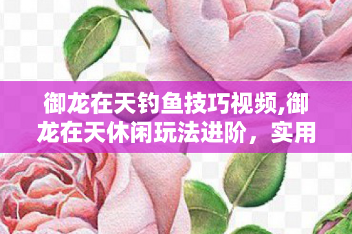 御龙在天钓鱼技巧视频,御龙在天休闲玩法进阶,实用钓鱼技巧全指南 御龙在天钓鱼技巧视频,御龙在天休闲玩法进阶,实用钓鱼技巧全指南