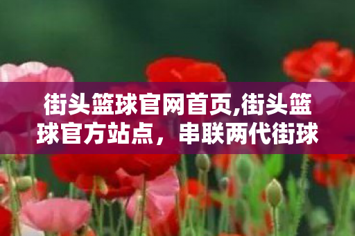 街头篮球官网首页,街头篮球官方站点,串联两代街球玩家的快乐大本营 街头篮球官网首页,街头篮球官方站点,串联两代街球玩家的快乐大本营