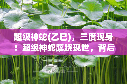 超级神蛇(乙巳),三度现身!超级神蛇蹊跷现世,背后真相让人后背发凉 超级神蛇(乙巳),三度现身!超级神蛇蹊跷现世,背后真相让人后背发凉