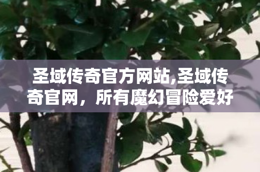 圣域传奇官方网站,圣域传奇官网,所有魔幻冒险爱好者的核心聚集地 圣域传奇官方网站,圣域传奇官网,所有魔幻冒险爱好者的核心聚集地