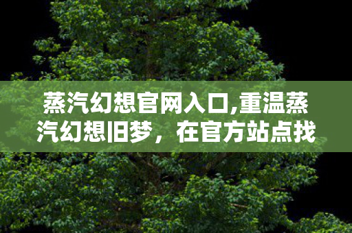 蒸汽幻想官网入口,重温蒸汽幻想旧梦，在官方站点找回机械与魔法交织的浪漫纪元