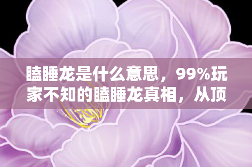 瞌睡龙是什么意思,99%玩家不知的瞌睡龙真相,从顶流到弃子,谁在扼杀我们的情怀? 瞌睡龙是什么意思,99%玩家不知的瞌睡龙真相,从顶流到弃子,谁在扼杀我们的情怀?