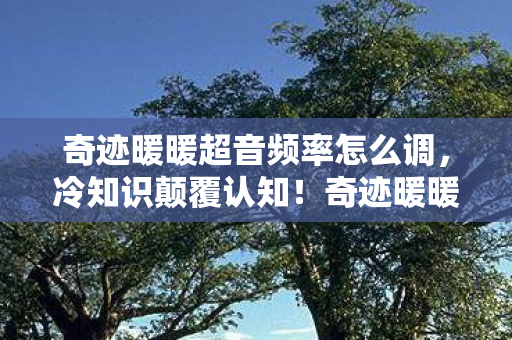 奇迹暖暖超音频率怎么调，冷知识颠覆认知！奇迹暖暖超音频率竟藏着目瞪口呆的隐形炸弹