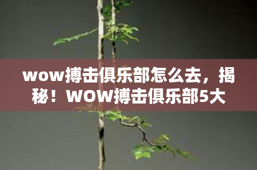 wow搏击俱乐部怎么去，揭秘！WOW搏击俱乐部5大实战心得+避坑指南，新手必看！