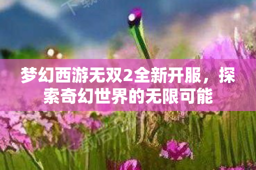 梦幻西游无双2全新开服图片
