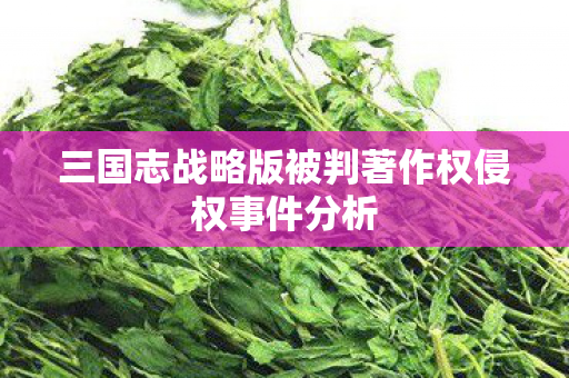 三国志战略版被判著作权侵权事件分析图片