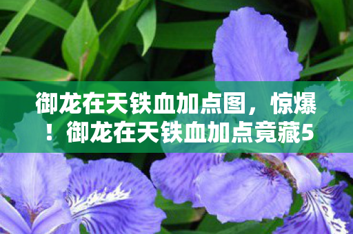 御龙在天铁血加点图,惊爆!御龙在天铁血加点竟藏5000元隐情,真相让人吓一跳! 御龙在天铁血加点图,惊爆!御龙在天铁血加点竟藏5000元隐情,真相让人吓一跳!