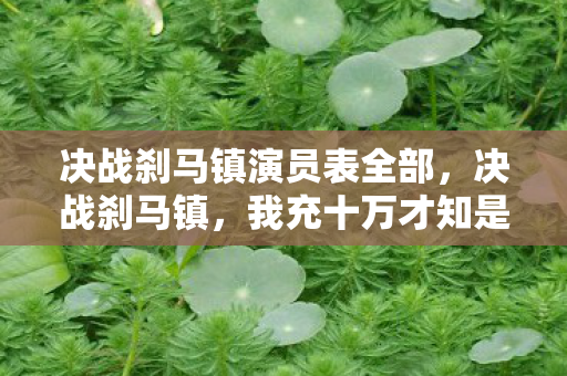决战刹马镇演员表全部，决战刹马镇，我充十万才知是韭菜，隐情曝光吓一跳！