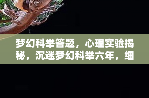 梦幻科举答题,心理实验揭秘,沉迷梦幻科举六年,细思极恐的自我麻醉真相 梦幻科举答题,心理实验揭秘,沉迷梦幻科举六年,细思极恐的自我麻醉真相