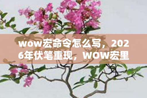 wow宏命令怎么写，2026年伏笔重现，WOW宏里藏着的旧情，鼻子一酸忆往昔