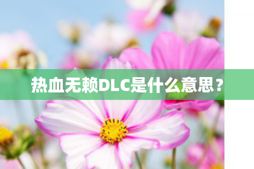 热血无赖DLC是什么意思图片