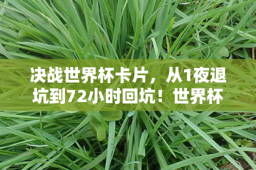 决战世界杯卡片,从1夜退坑到72小时回坑!世界杯狂欢竟让我经历冰火两重天? 决战世界杯卡片,从1夜退坑到72小时回坑!世界杯狂欢竟让我经历冰火两重天?