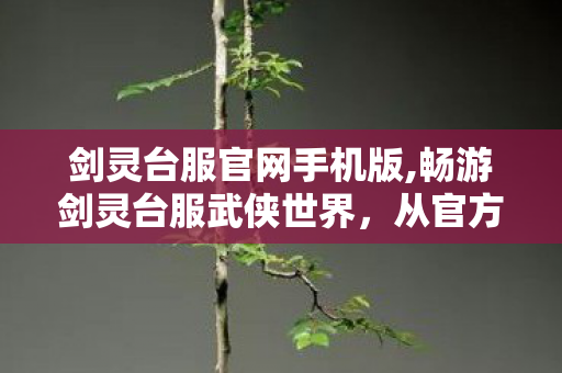 剑灵台服官网手机版,畅游剑灵台服武侠世界,从官方正规渠道开启专属冒险之旅 剑灵台服官网手机版,畅游剑灵台服武侠世界,从官方正规渠道开启专属冒险之旅