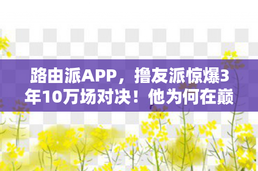 路由派APP,撸友派惊爆3年10万场对决!他为何在巅峰夜突然删号退游? 路由派APP,撸友派惊爆3年10万场对决!他为何在巅峰夜突然删号退游?