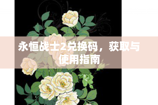 永恒战士2兑换码图片