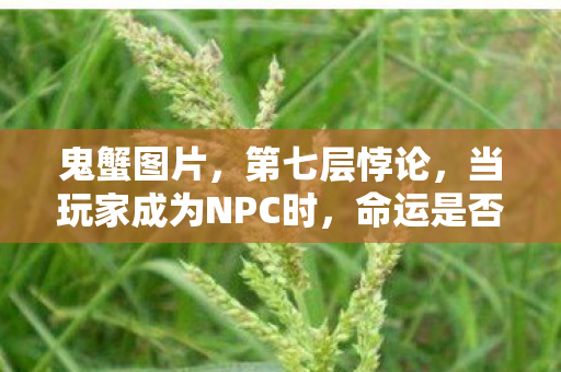 鬼蟹图片，第七层悖论，当玩家成为NPC时，命运是否仍是自由的选择？