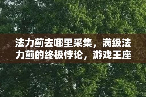 法力蓟去哪里采集,满级法力蓟的终极悖论,游戏王座上的灵魂荒原 法力蓟去哪里采集,满级法力蓟的终极悖论,游戏王座上的灵魂荒原