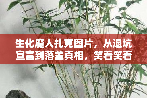 生化魔人扎克图片,从退坑宣言到落差真相,笑着笑着,我竟为扎克哭了 生化魔人扎克图片,从退坑宣言到落差真相,笑着笑着,我竟为扎克哭了