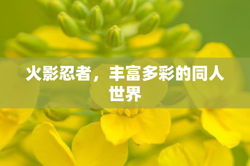 丰富多彩的同人世界图片